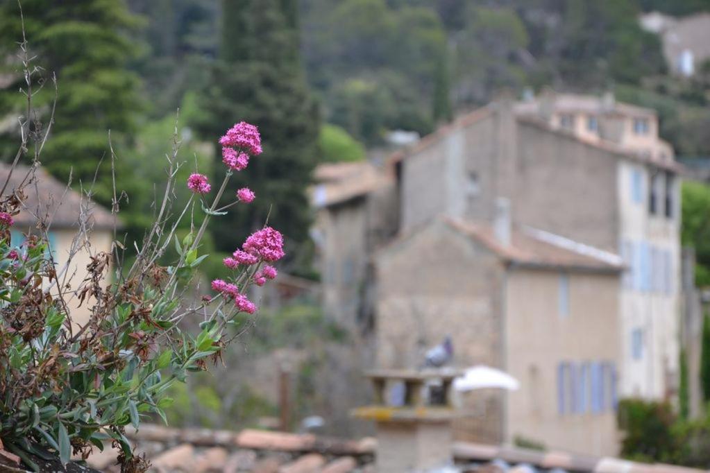 Appartement Le Grenadier Cotignac Exterior foto